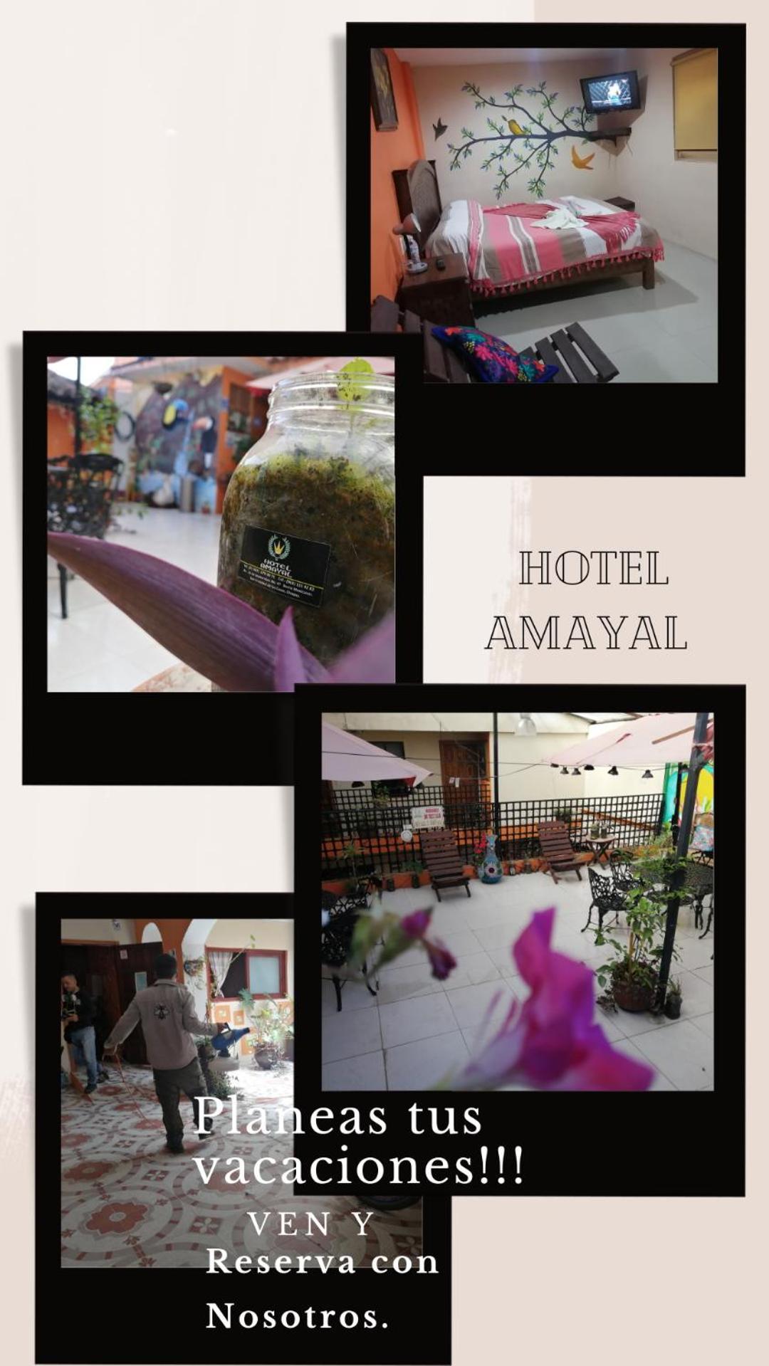 Hotel Amayal Сан-Крістобаль-де-лас-Касас Екстер'єр фото