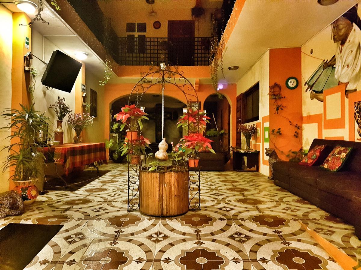Hotel Amayal Сан-Крістобаль-де-лас-Касас Екстер'єр фото